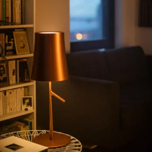 Foscarini Birdie LED grande lampe à poser cuivrée^ Design